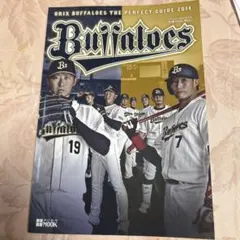 オリックス・バファローズ パーフェクトガイド 2014