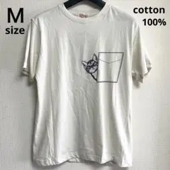未使用タグ付き magicalwave M 綿１００%半袖Tシャツ オフホワイト