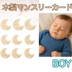 【男の子】9点セット　月齢カード 木製バナー フォト　写真撮影　成長　C159