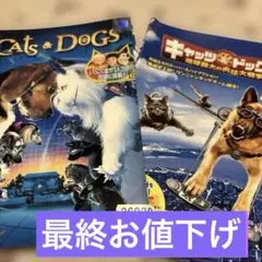 Item thumbnail for item 17577991-2ac9-4019-aaa8-579a615ef598