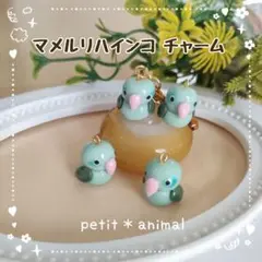 ②マメルリハインコ　チャーム　キーホルダー