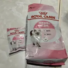 Item thumbnail for item c9481caa-c614-49ae-8a58-71ebf88711fc