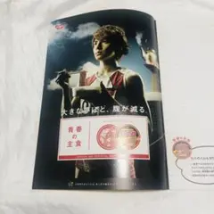 非売品　日清 焼そば U.F.O. 生田斗真 ノート　グッズ