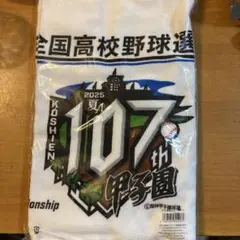 107回　全国高校野球選手権大会　タオル　甲子園