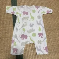 Item thumbnail for item 695c734a-8ab6-40fc-8b53-174ab00ee3c7