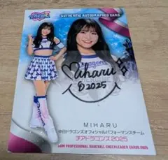 Item thumbnail for item 21bb9472-ef9d-4a54-8fc1-158282d65c1f