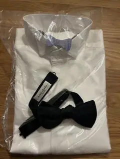 Item thumbnail for item 5427d6c6-56a6-4c60-80e7-f89972495d8a