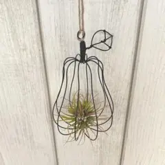 洋梨型エアプランツホルダー（黒）ハンドメイド　ワイヤークラフト