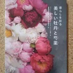 美しい牡丹と芍薬
