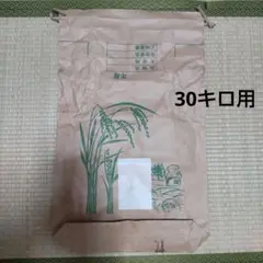 米袋　紙袋　30キロ用　１枚