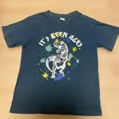 dev!rock 140 恐竜　Tシャツ