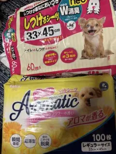 Item thumbnail for item 41678bee-4559-4677-9f94-b7dd71ff22df