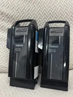 ⭐️新品未使用⭐️ブリヂストン電動アシスト自転車用バッテリー12.3Ah