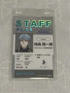 メダリスト展　　鴗鳥慎一郎 　　　　　　　　　　　　　ランダムスタッフパスカード