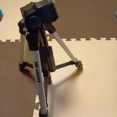 Item thumbnail for item 881adc62-f443-42cb-8cf7-90681e4233ad