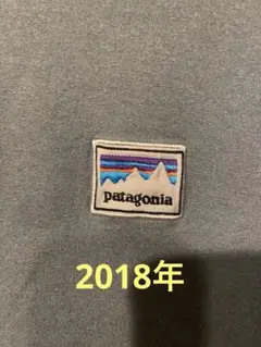 patagonia スウェット