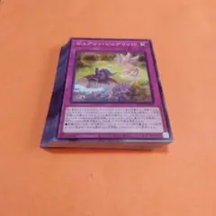 遊戯王　ピュアリィ・シェアリィ21枚