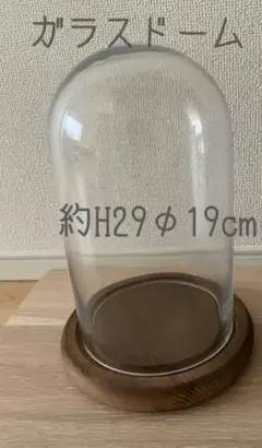 ガラスドーム ダルトン DULTON M Amazon.co.jp: ダルトン(Dulton) ディスプレイ用品 グラスドーム
