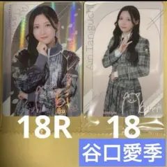 Item thumbnail for item ece9e1d6-6f2b-4f3f-8617-e7ff884ed8fb