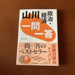 山川 一問一答 政治・経済
