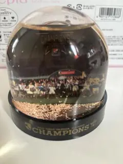 チャンピオンズスノードーム