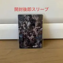 【開封後即スリーブ】RIZIN ポテトスティック RIZIN48