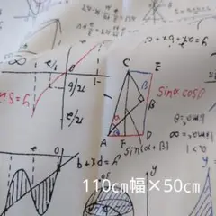 オックス生地 日本製 数式 110×50cm FUWARI 染布