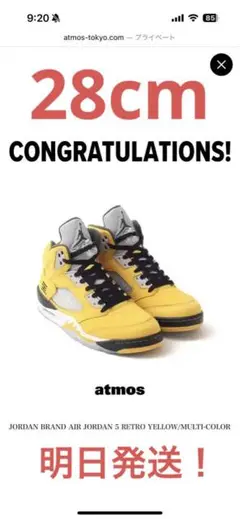 Nike Air Jordan 5 Retro "Tokyo 23" 28