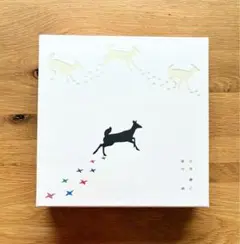 Item thumbnail for item 02e6f479-d9be-4467-bc3b-f35d2c9e4c02