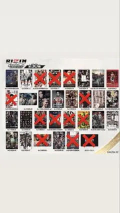 RIZIN ポテトスティック