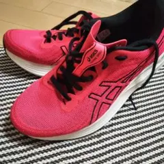 ASICS アシックス Evoride SPEEDランニングシューズ 26、5㎝