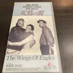 The Wings Of Eagles VHS