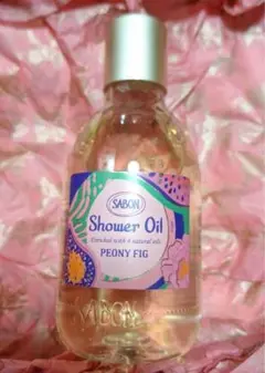 Item thumbnail for item 1f40fc4c-a3ee-4501-9618-bd4ffafb7d42