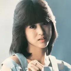 【匿名配送】グラビア/松田聖子(80年代アイドル)昭和+当時モノ(雑誌3冊)レア