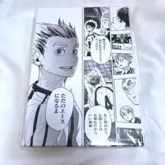 ハイキュー!! 名場面アートボード キャンパスボード 木兎光太郎 梟谷