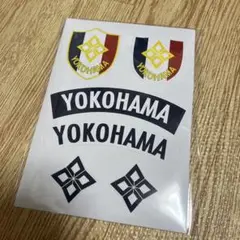 Item thumbnail for item 93d4cfdb-9e09-498b-ac5d-25ca89dccf62