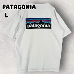 パタゴニア レスポンシビリティ 半袖Tシャツ マウンテンロゴプリント L