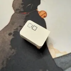 CIO NovaPort DUOⅡ 45W USB-C 2ポート