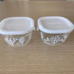 Item thumbnail for item 5eb2f179-5eda-44ae-aafe-2f01770f633b