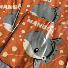 Item thumbnail for item e99cbbf8-7280-4dc5-9a1a-48ae28f653d0