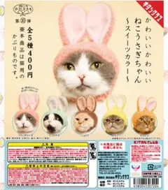 Item thumbnail for item 533812e5-6738-4b3d-94f6-c2d5ac0cafb2