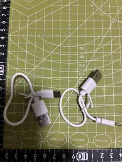 USB充電ケーブル （Cタイプ）2本セット ホワイト