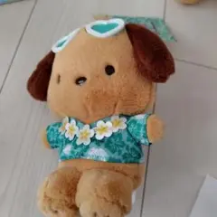 即日配送！　ポチャッコ日焼けマスコット