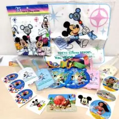 新品未使用！東京ディズニーリゾート 25周年 バケーションパッケージセット