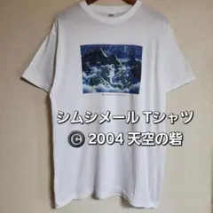 シムシメール Tシャツ 2004 天空の砦 アートTシャツ