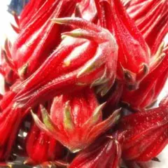 Item thumbnail for item 2d3e8e19-c2a7-4352-ade2-4115d6fd1b3a