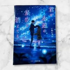 ❤️君が永遠の星空に消えても