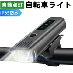 Item thumbnail for item 3e04f660-9f9c-413a-a574-6494e8d5db78