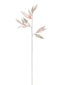 Item thumbnail for item 8fbf2e41-e1eb-4803-a57f-33da48de7057