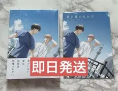 【新品未開封】「君と夏のなか(3) 限定版」 古矢渚先生